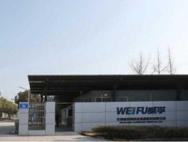000581威孚高科（我买的000581威孚高科4900元，能不能继续持有谢谢？）