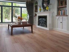 升达林业股吧（升达强化木地板颜色有哪些？）