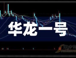 股票002255 华龙一号核电股票代码？