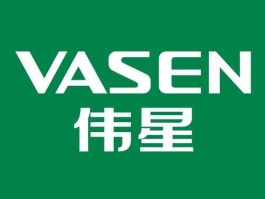 伟星集团有限公司 伟星股份属于大公司还是中小企业？