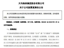 st传媒 st天马主营业务？
