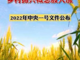 垃圾处理概念股，乡村振兴概念股有哪些？