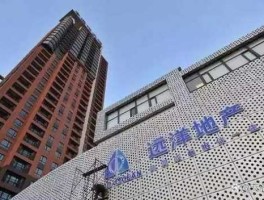 远洋地产 远洋集团前身是什么？