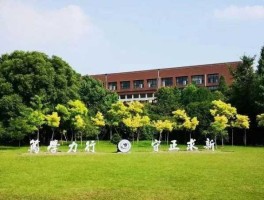 杭电 杭电材料专业怎么样？