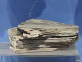 油页岩灰渣？什么是固体石油——油页岩？