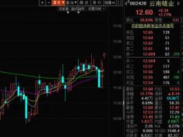 股票002428 锗有哪些股票？