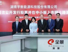 宇新股份，宇新股份公司介绍？