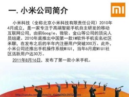 小米科技有限责任公司（小米是什么时候成立的？）