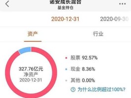 诺安成长混合（诺安成长混合是芯片还是半导体？）