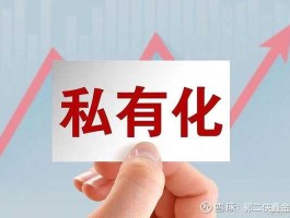 上市公司私有化？雅士利私有化退市是什么意思？