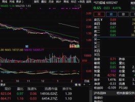 600048股票（股票R成城1什么意思？）