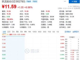 002783，已申报是什么意思？新股002783买入后？