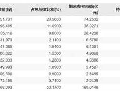太极股份股票（互联网龙头股有哪些？）