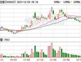 000829天音控股（000829天音控股做什么行业？）