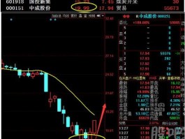 中成股份股票，国投系股票有那些？