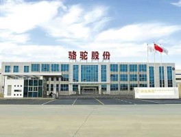 骆驼股份 骆驼股份和赣锋锂业的区别