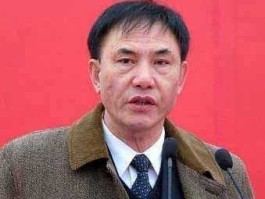 南玻曾南取保候审 南玻创始人？