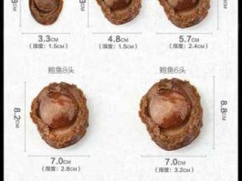 鲍鱼多少钱？鲍鱼10-12头的2300元一斤，一只多少钱怎么换算的呢？