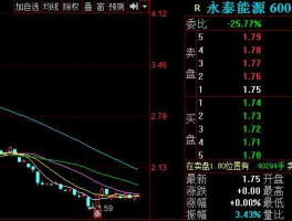 600157永泰能源 600157永泰能源这支股怎么样？