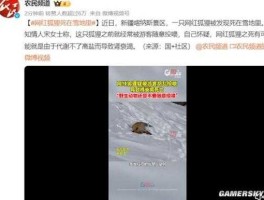 新闻集团，近年来游客随意给动物投食的报道屡见报端联系新闻报道内容和生活实际说说，为什么，这种不文明的行为屡？