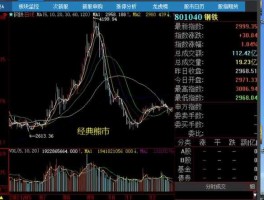 股票600171（半导体概念股票？）