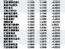 新发行基金？新发行的基金净值是多少？