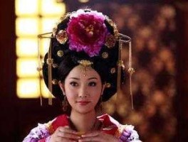 南粤警视 贞观之治杨妃是谁演的？