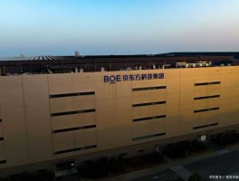000725股票 京东方科技集团股份有限公司介绍？