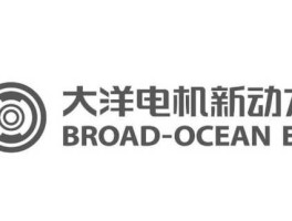 大洋电机股票，大洋电机是不是日本企业？