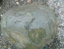 仔玉？天山有个石河滩吗？