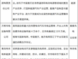中国新能源网？国内比较大的新能源充电公司？