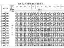 新农保，新农保是什么待遇？