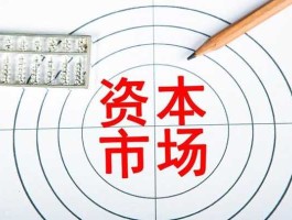 投资界 优势资本很牛吗？