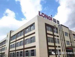 601012股票（楚雄隆基硅材料有限公司怎么样？）
