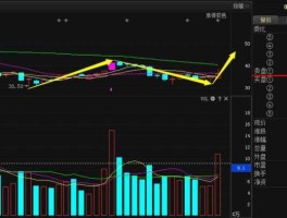 股票002555 神州数码历史？