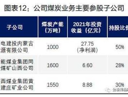 股票600795，十大绿电龙头企业？