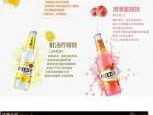 百加得冰锐，rave-party是什么意思？