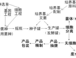 昌九生化（发酵工业的应用类型有哪些？）