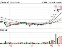 300019股票？硅宝科技工作怎么样？