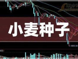 002548股票 小麦股票代码有哪些？