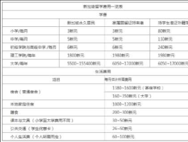 新加坡留学一年费用大概多少钱（新加坡留学1年费用）