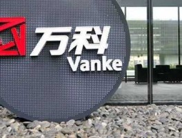 万科（万科企业股份有限公司项目资料？）