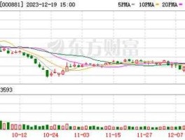 600114股票 东方Dz股票代码？