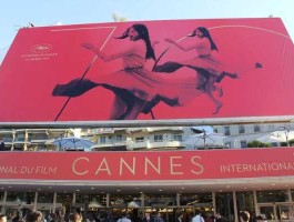 戛纳，戛纳官方氧化菊叫什么名字？