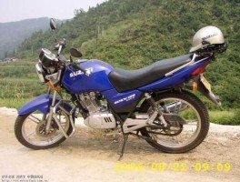 st轻骑b（济南轻骑铃木是不是杂牌？）