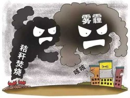 空气污染的影响，空气污染的后果？