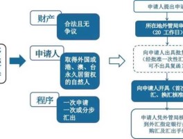 直接投资外汇管理信息系统（spv项目什么意思？）