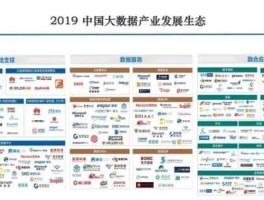 晶赞科技，大数据有限公司的运营模式？