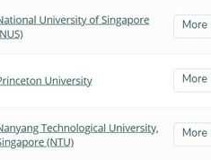 国立科技（新加坡国立大学材料科学与工程专业怎么样？世界排名怎样？）