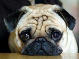 002426 002426有光刻机配件产品吗？